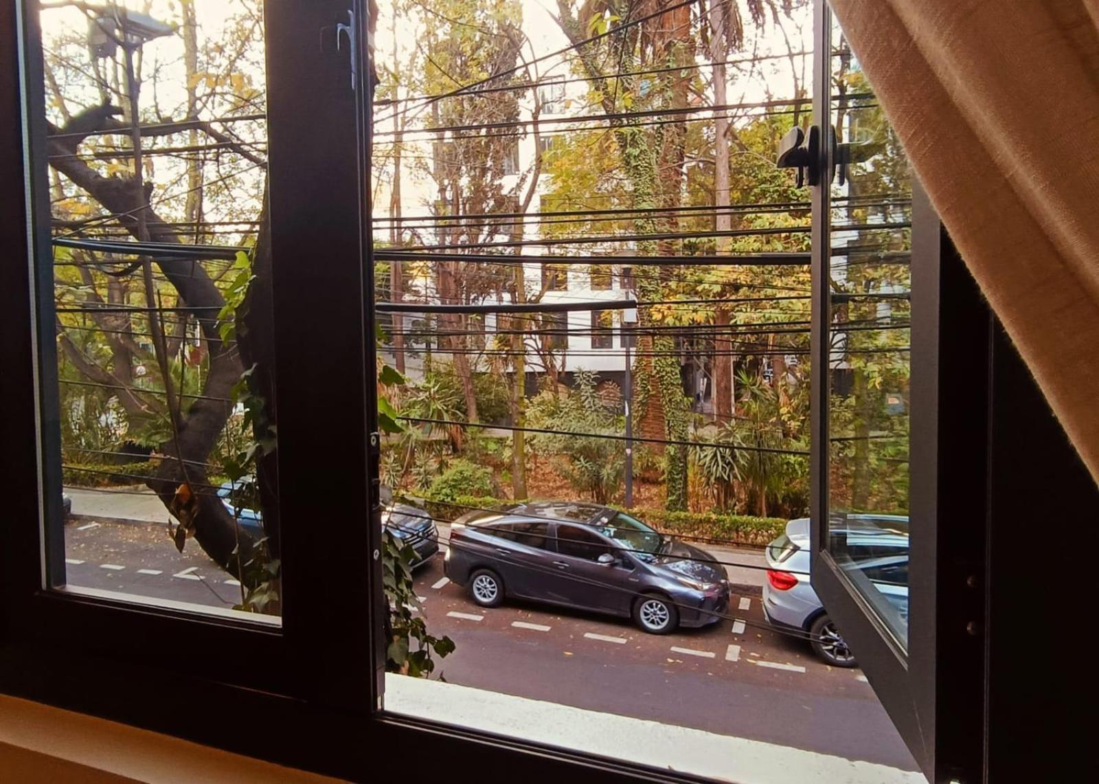 Casa Altata Hotel Boutique Mexico City Exteriör bild
